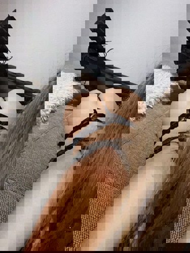 Lisa117682 - +4917682420066, 017682420066, 0176-82420066