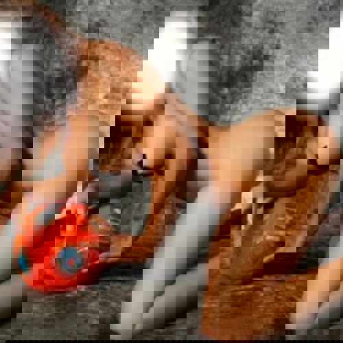 IsaSqrtngampAVExpertin1