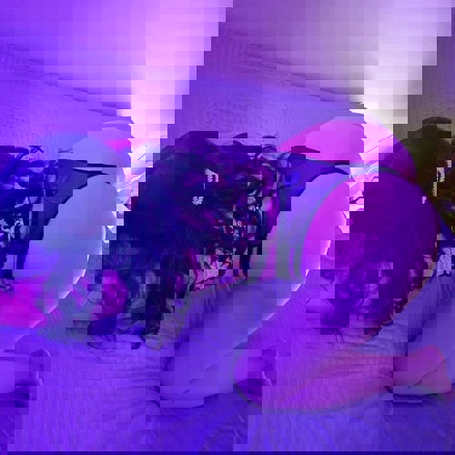 Meera