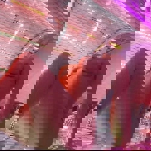 Alice1521229 - +4915212291899, 015212291899, 0152-12291899