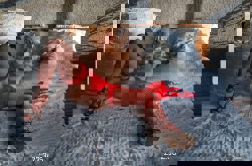 Brigitte1 - +4915210332932, 015210332932, 0152-10332932