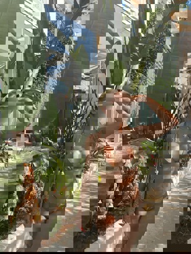 NeuJulia1573 - +4915731239644, 015731239644, 0157-31239644