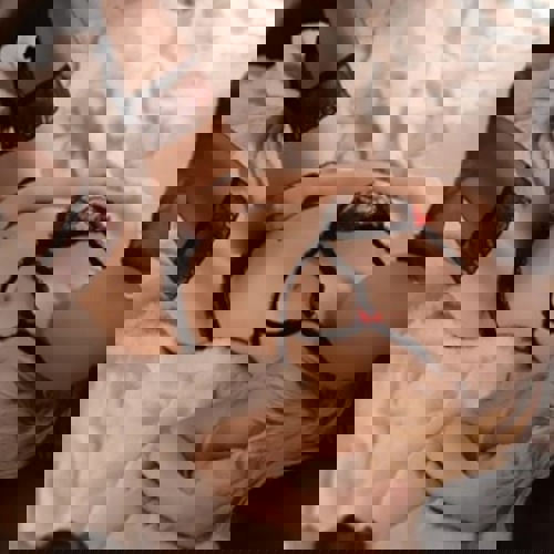 Lisa117613