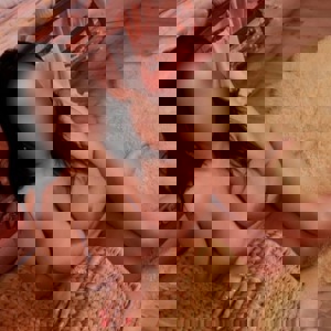 Profilbillede