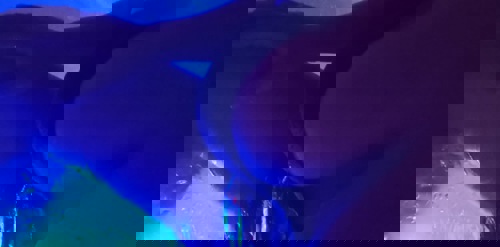 Alice152137 - +4915213732488, 015213732488, 0152-13732488