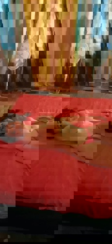 NIKOL157771 - +4915777179587, 015777179587, 0157-77179587