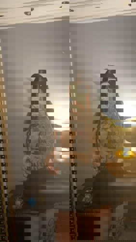 DeutscheMiaauchAV1 - +4915121939805, 015121939805, 0151-21939805
