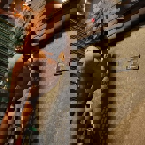 תמונת הפרופיל